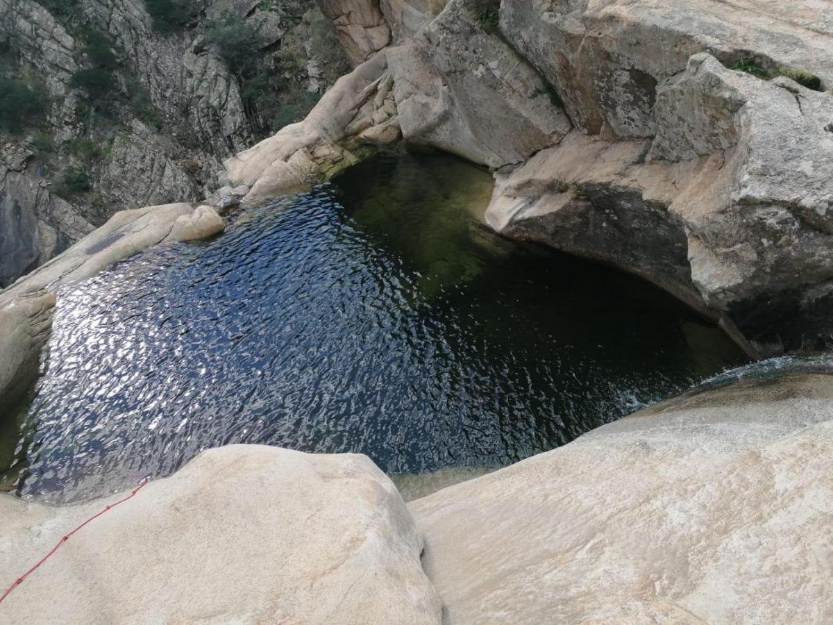 B&B Florian San Teodoro  Dış mekan fotoğraf