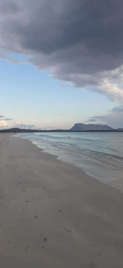 B&B Florian San Teodoro  Dış mekan fotoğraf