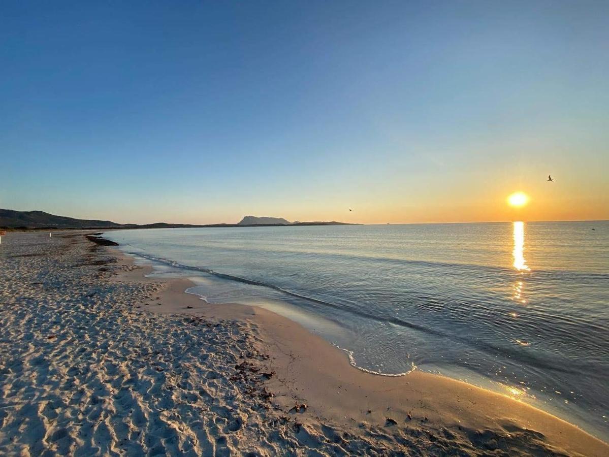 B&B Florian San Teodoro  Dış mekan fotoğraf
